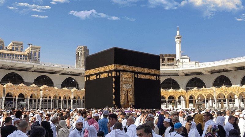 هير نيوز