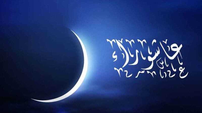 هير نيوز