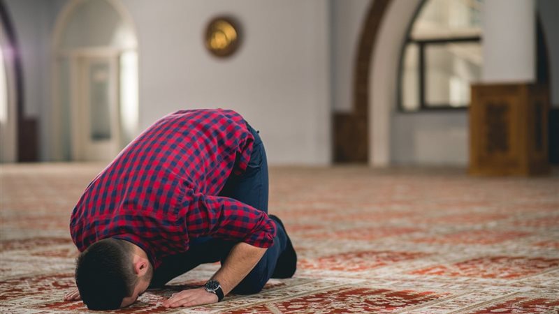هير نيوز