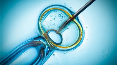 هل يجوز نقل الأجنة المخصبة بعد وفاة الزوج؟.. «الإفتاء تُجيب»