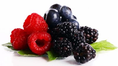 تفسير رؤية التوت في المنام.. وإرتباطة بجني الأموال