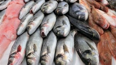 لربات البيوت.. أسعار السمك والجمبري اليوم الجمعة 9 أغسطس 2024