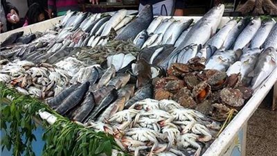 أسعار الأسماك والجمبري اليوم السبت 10 أغسطس 2024