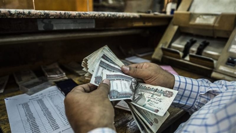 هير نيوز