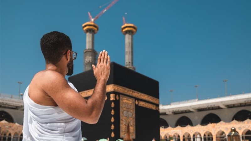 هير نيوز