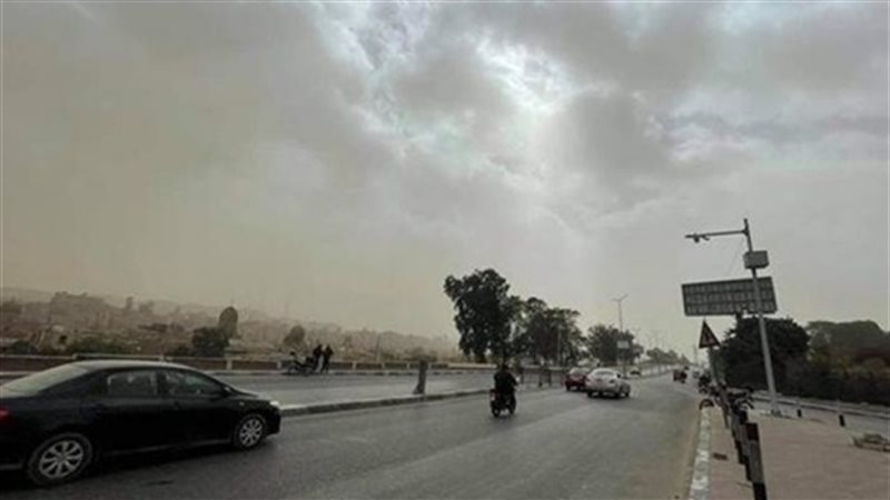 هير نيوز