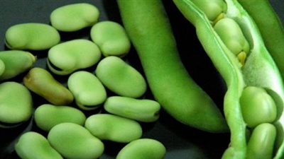 تفسير حلم الفول الأخضر في المنام وعلاقته بالترقية في العمل