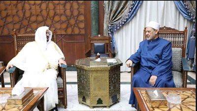 شيخ الأزهر: ضرورة إعادة النظر في بعض الفتاوى الخاصة بحقوق المرأة