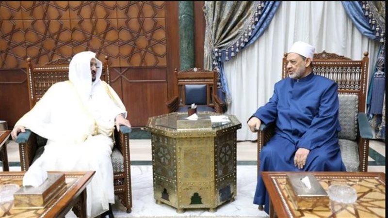 هير نيوز