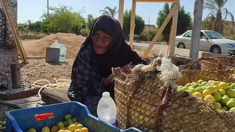 هير نيوز