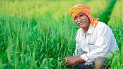 بمناسبة عيد الفلاح.. أشهر الأغاني التي تحدثت عن الفلاح المصري 