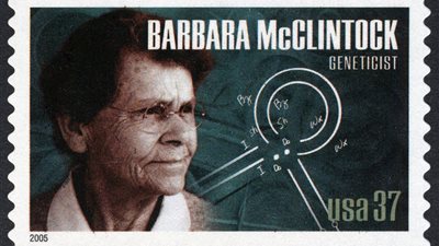 باربرا مكلينتوك | عالمة أمريكية حصلت على جائزة نوبل في الفسيولوجيا