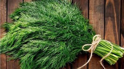 ارتفاع أسعار الخضرة يثير جنون المصريين.. والحزمة تصل لـ 10 جنيهات 