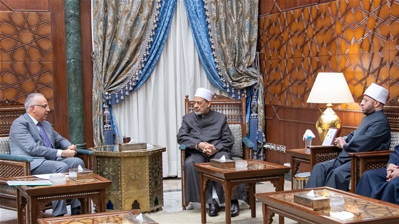 هير نيوز