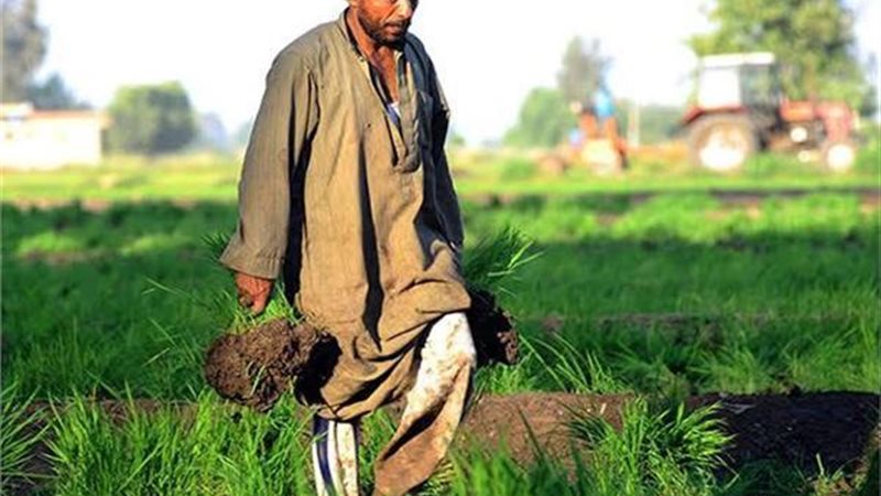 عيد الفلاح 2024