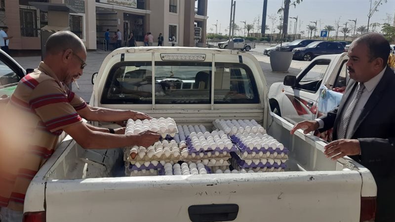 هير نيوز