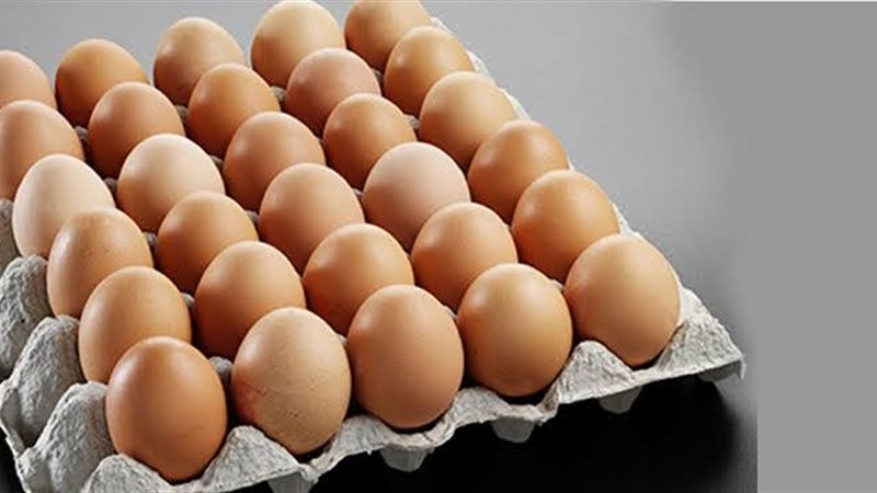 أسعار البيض