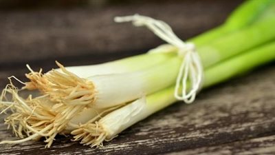 تفسير حلم البصل الأخضر في المنام وعلاقته بالثروة والمكاسب 