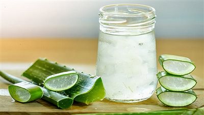  تفسير رؤية الصبار في المنام وعلاقته بالحظ السعيد