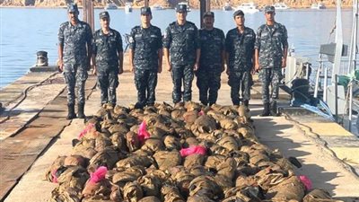 بالصور.. القوات البحرية تحبط محاولة تهريب كميات من المواد المخدرة داخل البلاد