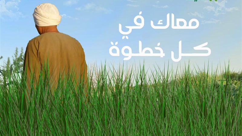 هير نيوز