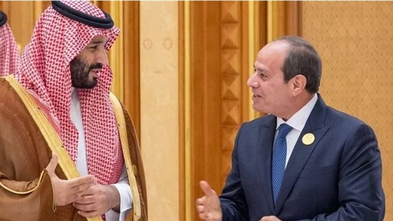 هير نيوز