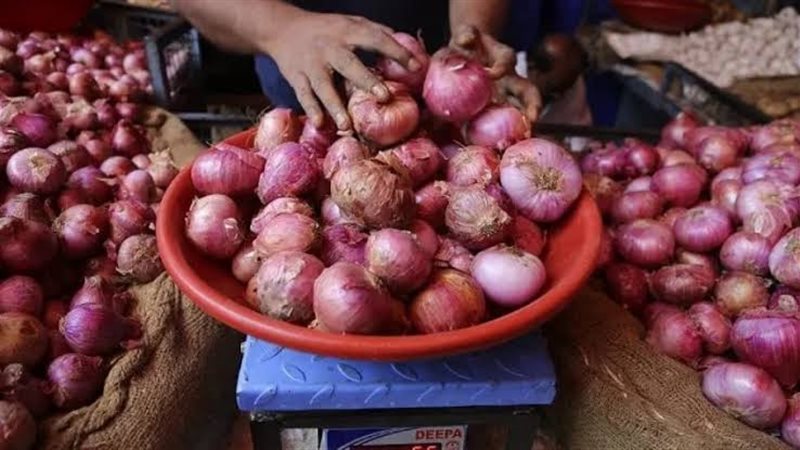 أسعار البصل اليوم