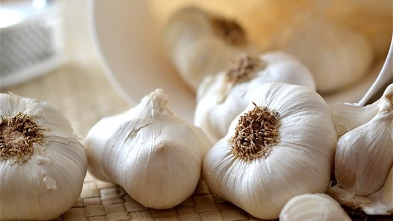 أضرار تناول الثوم