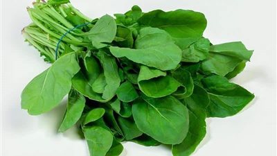 تفسير رؤية الجرجير في المنام وعلاقته بالمشاكل الزوجية