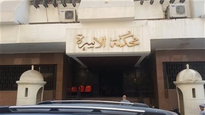 «خائن ويرفض الاعتراف بابنته».. زوجة ترفع إثبات نسب ضد زوجها