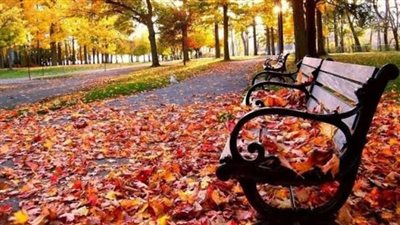 حالة الطقس اليوم الإثنين 21-10-2024