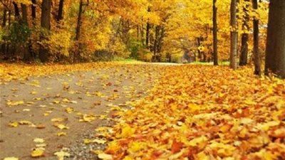 توقعات حالة الطقس غدًا الأحد 27-10-2024