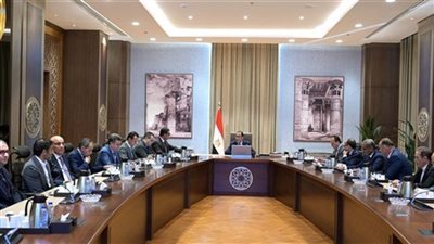 مجلس الوزراء ينشئ وحدة دائمة برئاسته باسم «تخطيط الطاقة»