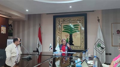 «القومي للطفولة» يبحث مع برنامج «أسرة» توسيع قاعدة المستفيدين والوصول لأكبر عدد من الفئة المستهدفة