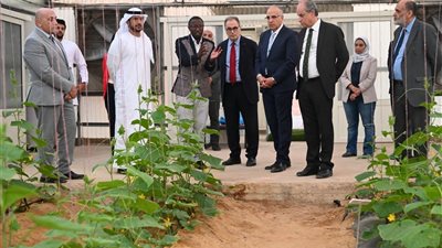 بالصور.. وفد إماراتي رفيع المستوى يزور الجامعة الأمريكية بالقاهرة 