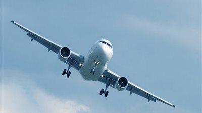 مواقف وطرائف.. إوزة تضع طائرة كندية في ورطة عصيبة