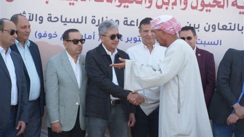 هير نيوز