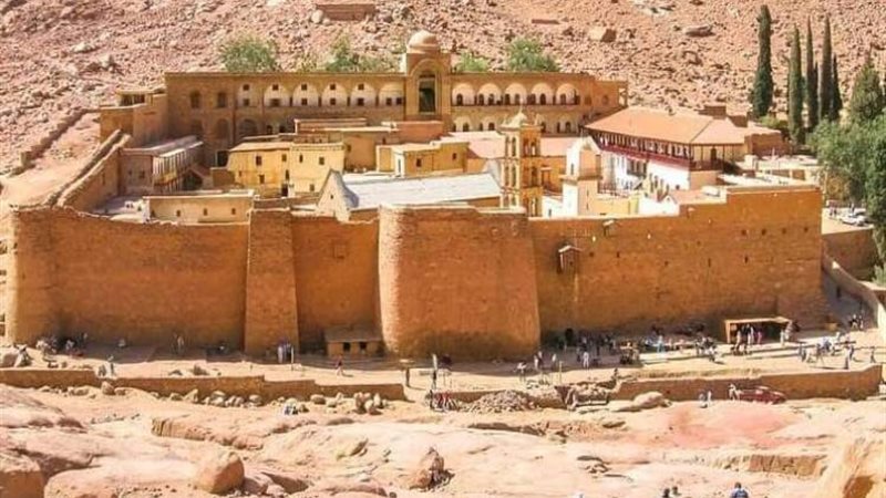 هير نيوز