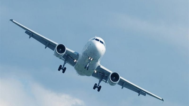 إوزة مع طائرة كندية