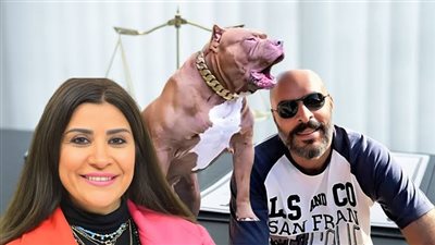 تغريم أميرة شنب وزوجها 30 مليون جنيه لعائلة ضحية كلبهما البيتبول 
