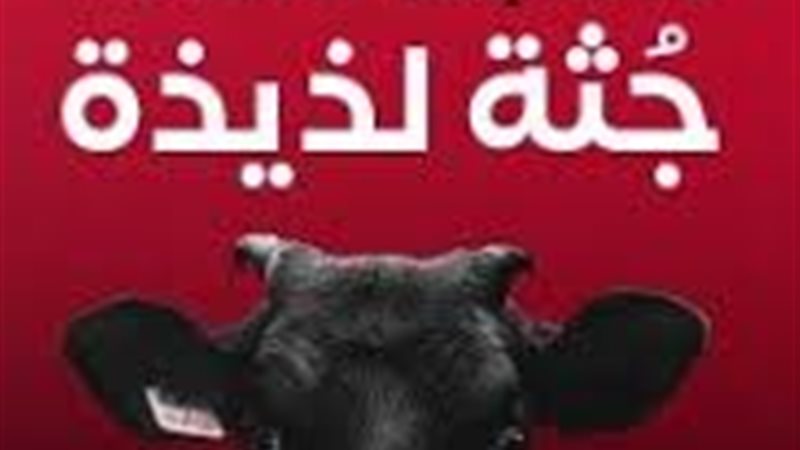 هير نيوز