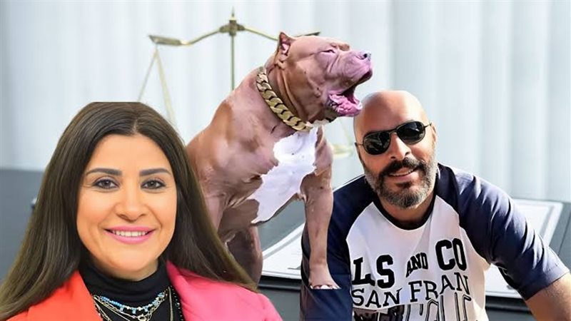 قضية الإعلامية أميرة