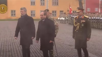 بالفيديو.. مراسم استقبال الرئيس السيسى فى الدنمارك 