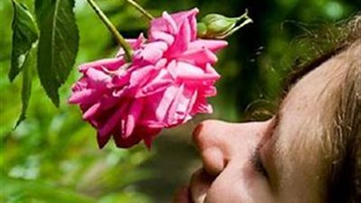 تفسير شم بعض الروائح في المنام ودلالاته المختلفة