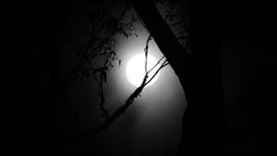 تفسير حلم الظلام في المنام للعزباء والمتزوجة