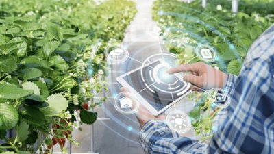 القومي للبحوث يوضح 7 استخدمات للذكاء الإصطناعي في تطوير الزراعة