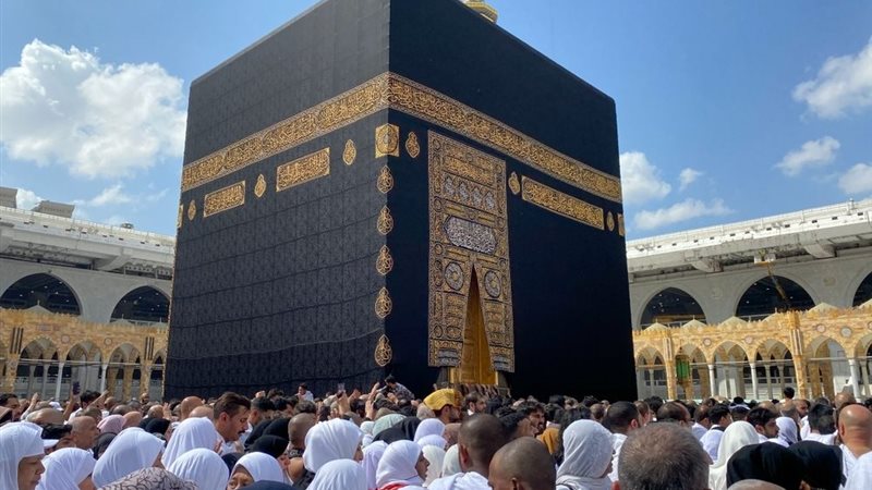 هير نيوز