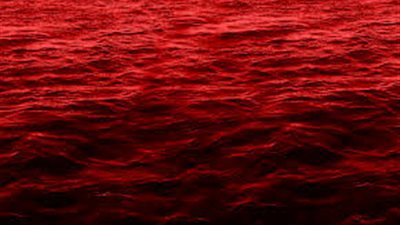 تفسير حلم السباحة في الدم.. خير أم شر؟