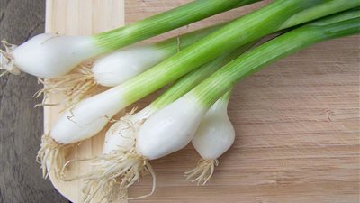 5 فوائد صحية لتناول البصل الأخضر.. أبرزها لصحة العين
