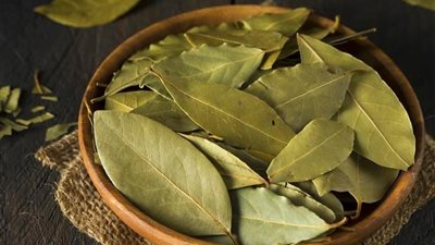 إزالة السموم.. فوائد ورق الغار في نظامك الغذائي 